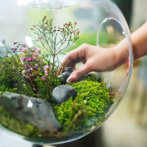 Doctor and medicine delivery person representing HealthRunCare's care loop